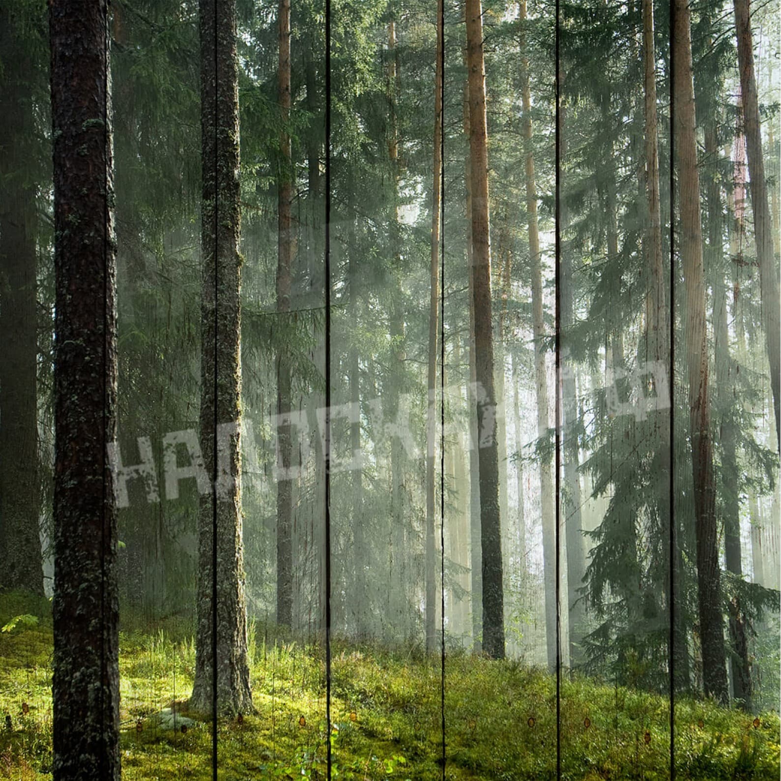 Картина на досках Лес 31