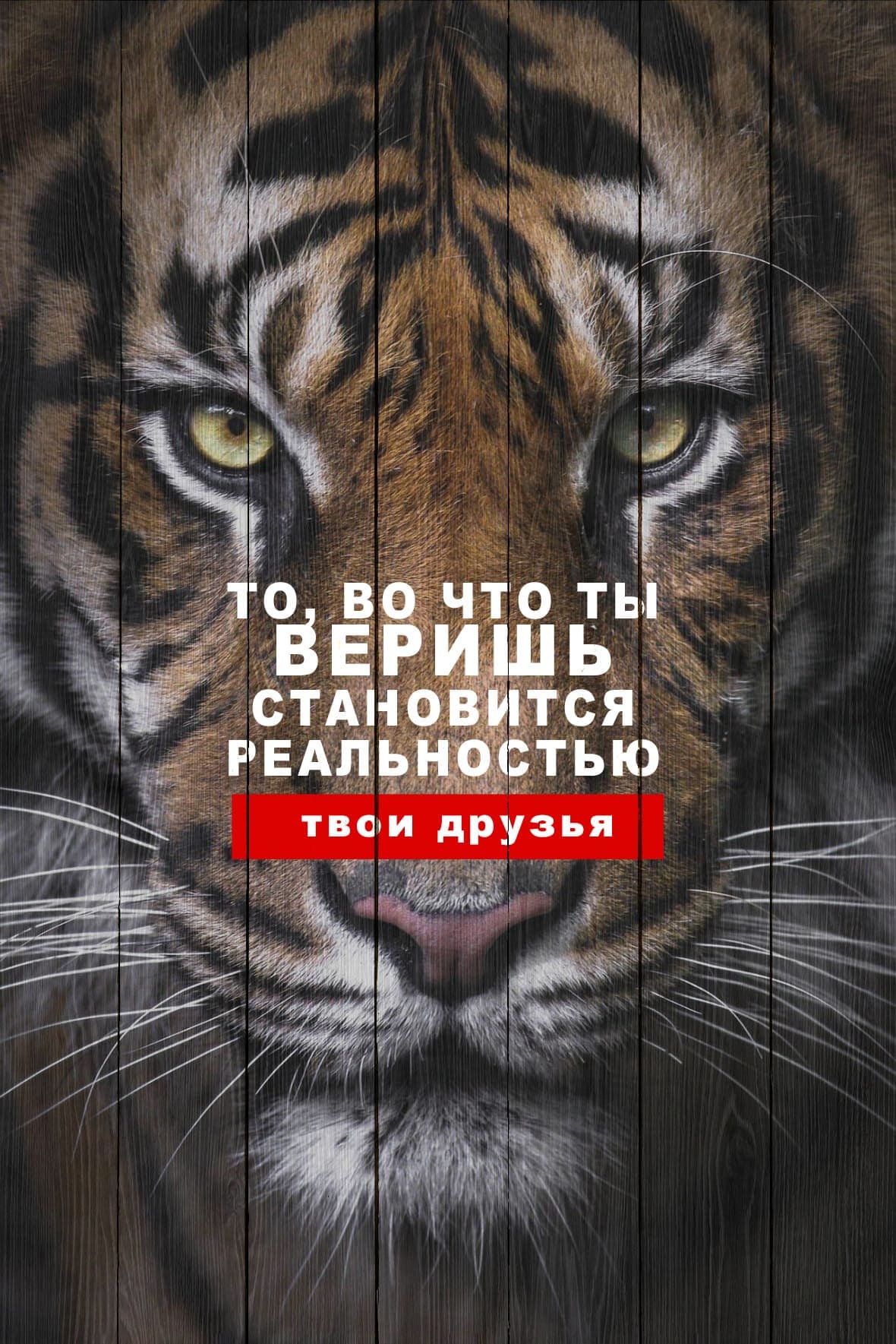 Тигры