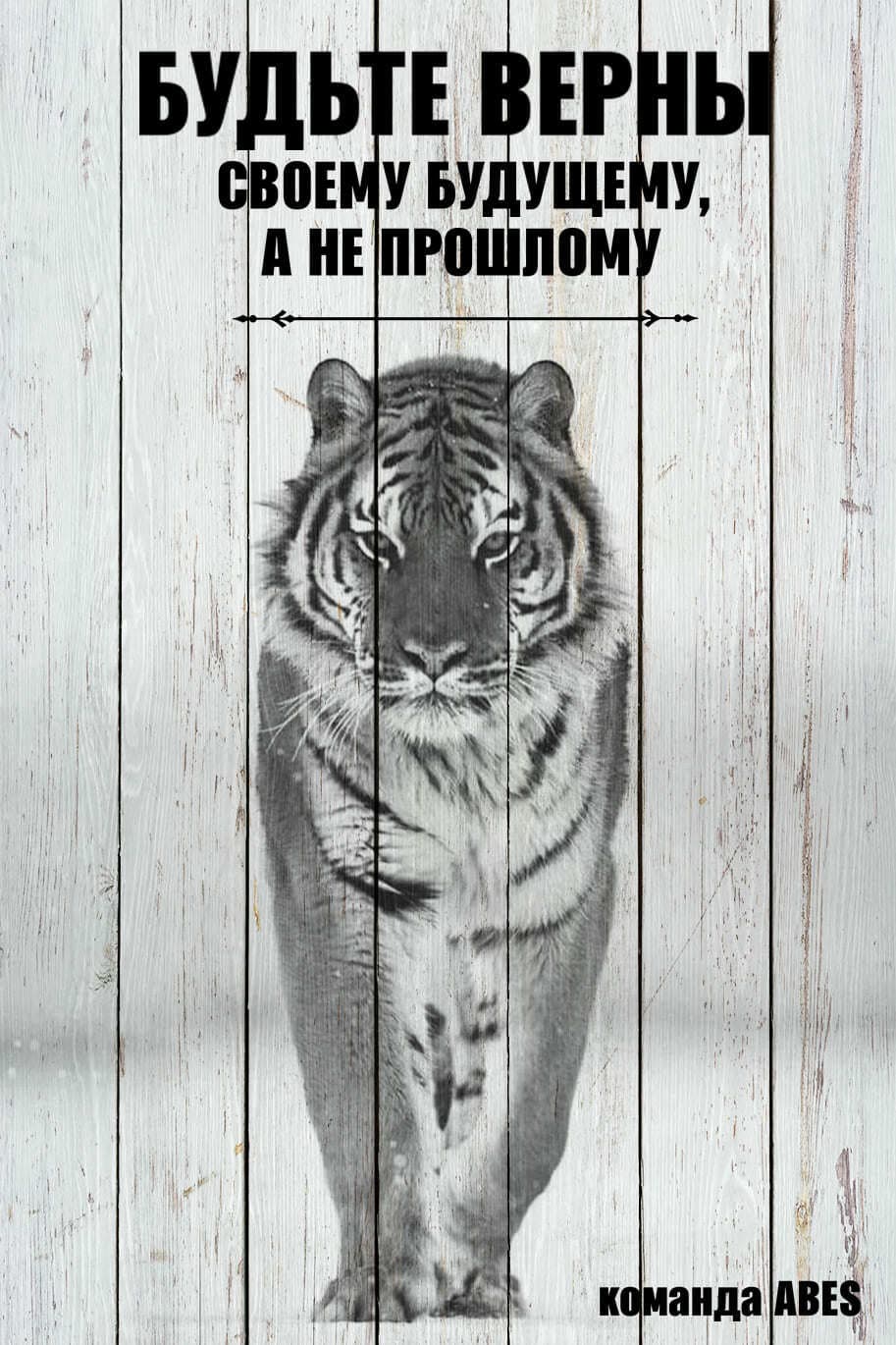 Шагающий тигр с мотивирующей цитатой
