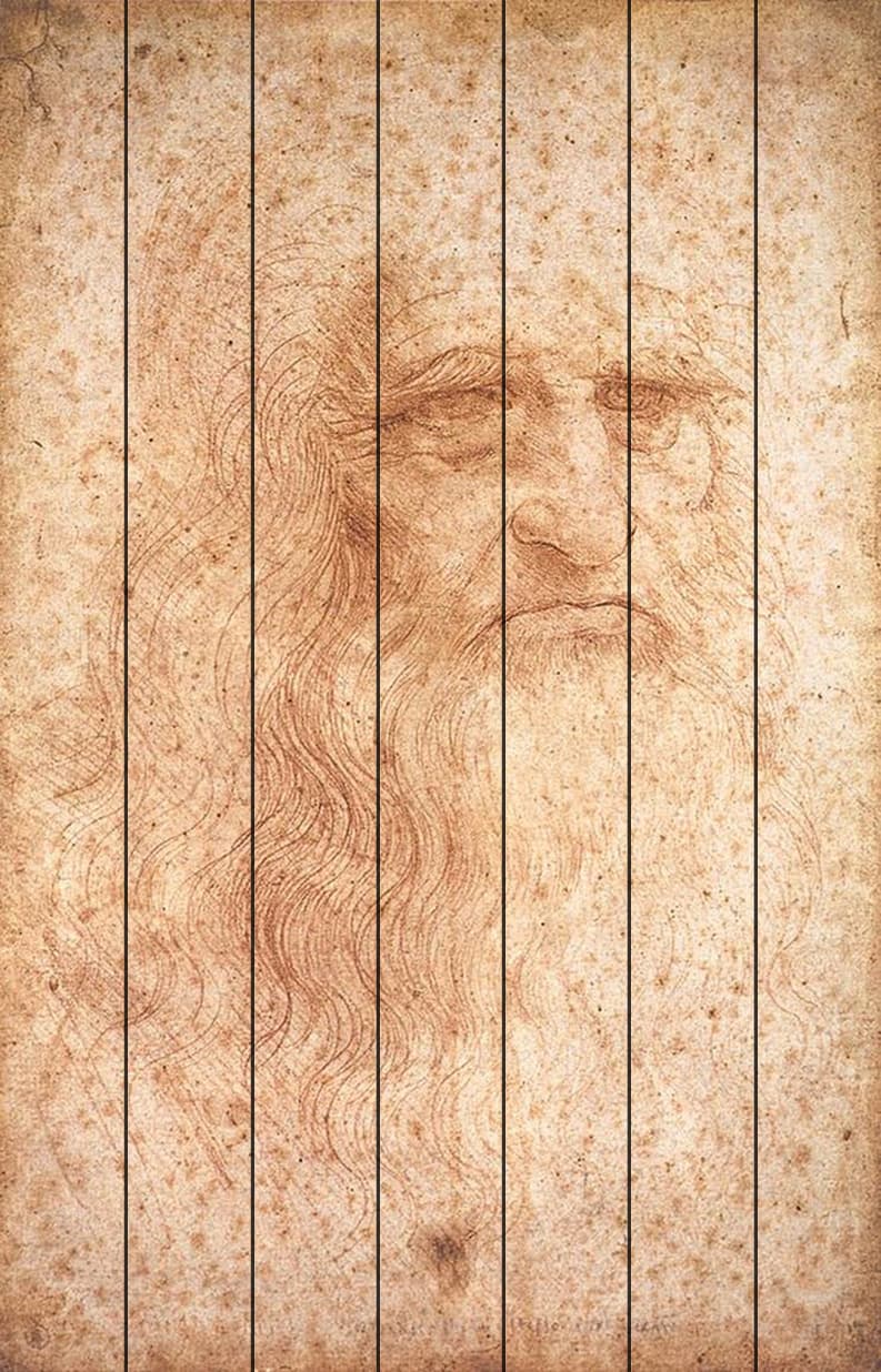Туринский автопортрет Leonardo da Vinci — Леонардо да Винчи