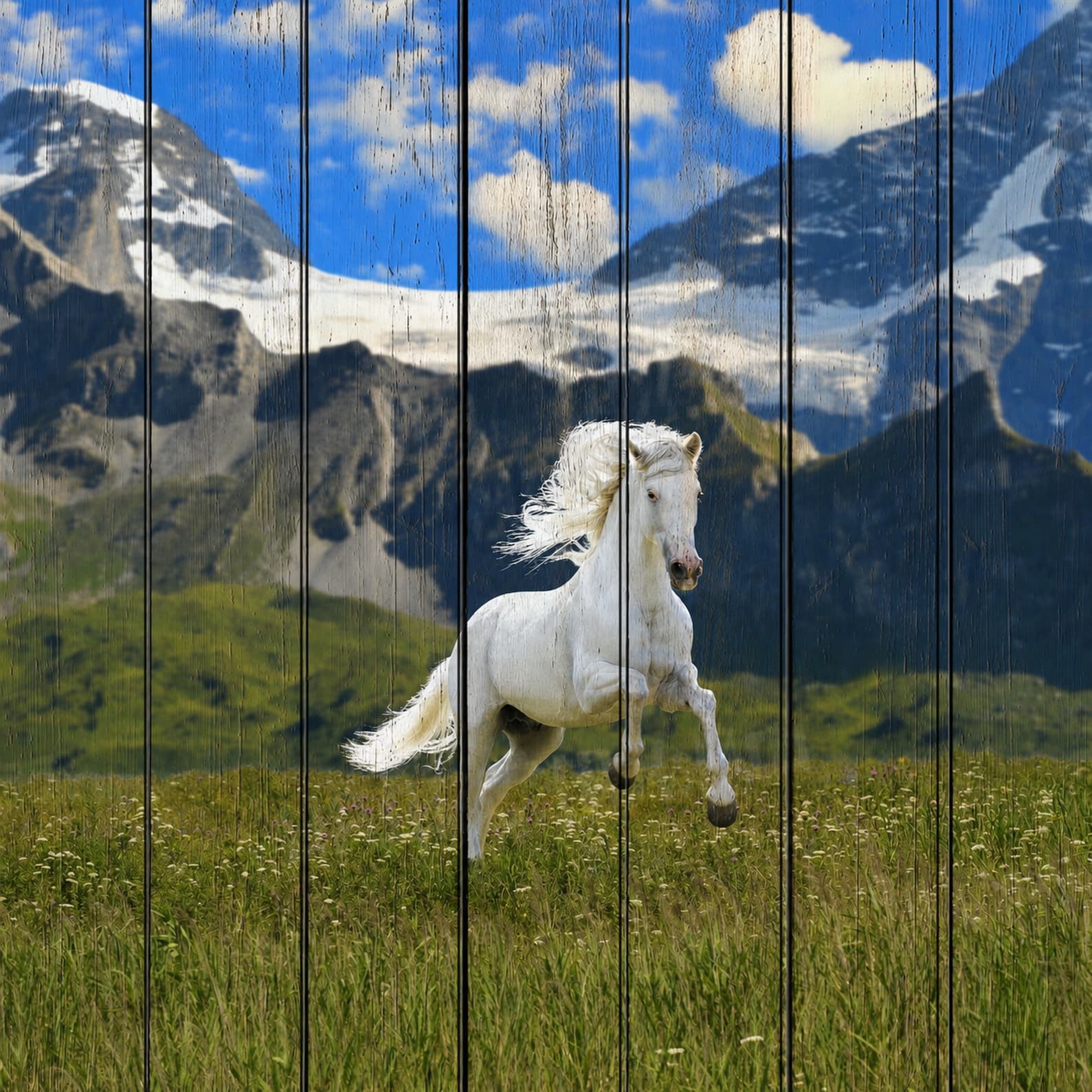 Белая лошадь в горах