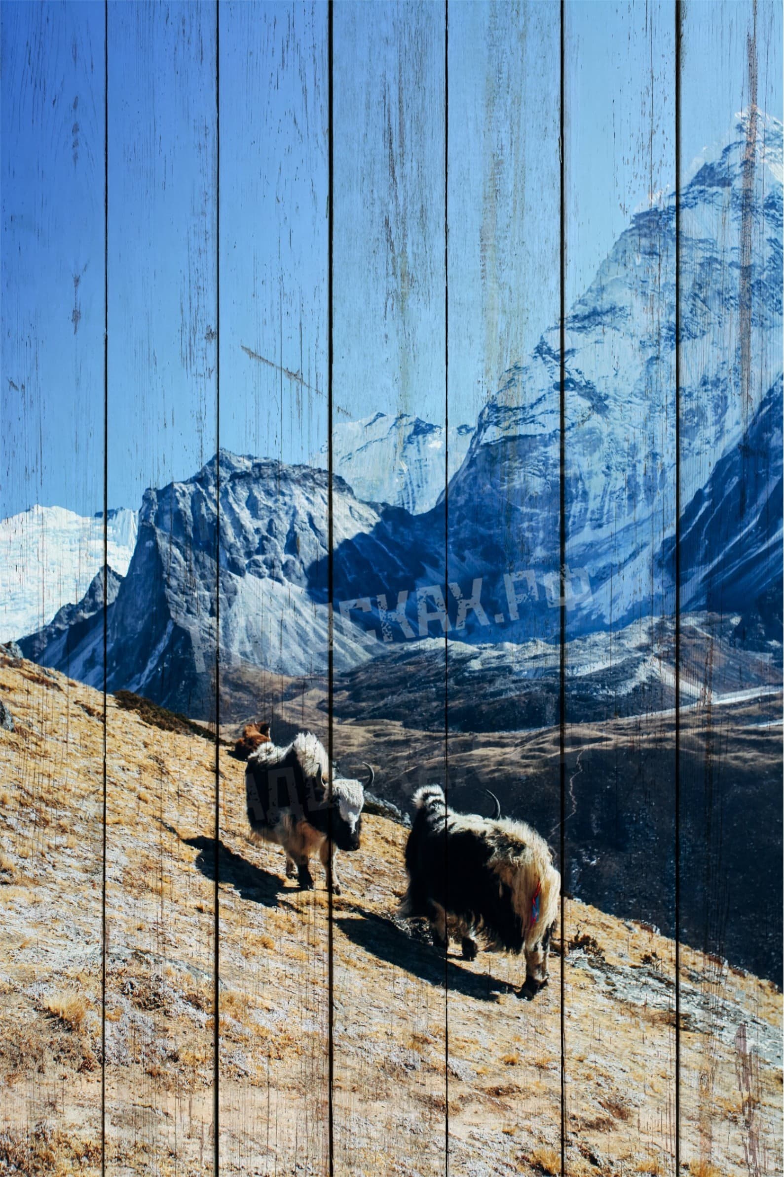 Картина на досках Travel 19