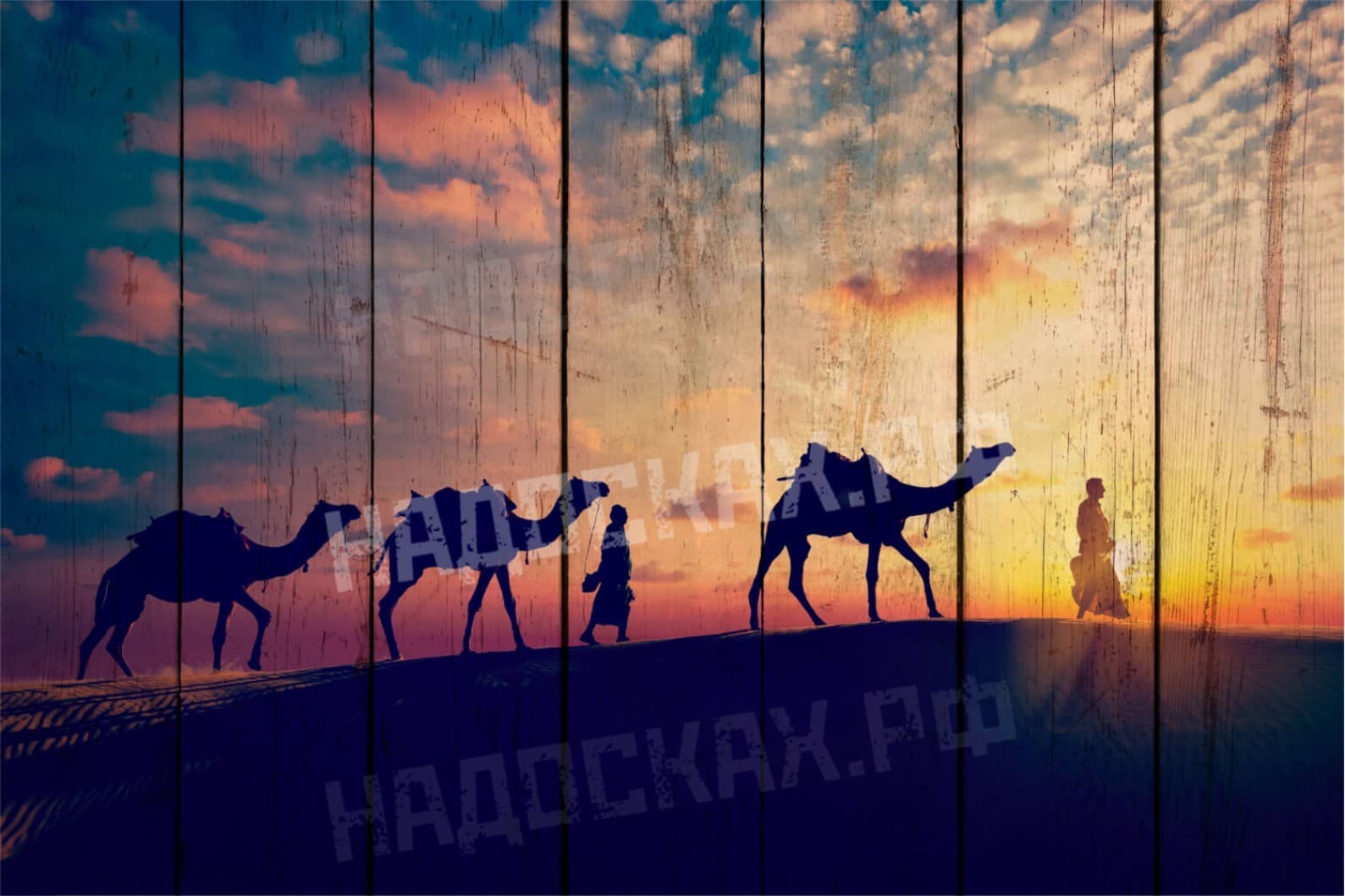 Картина на досках Сафари 27