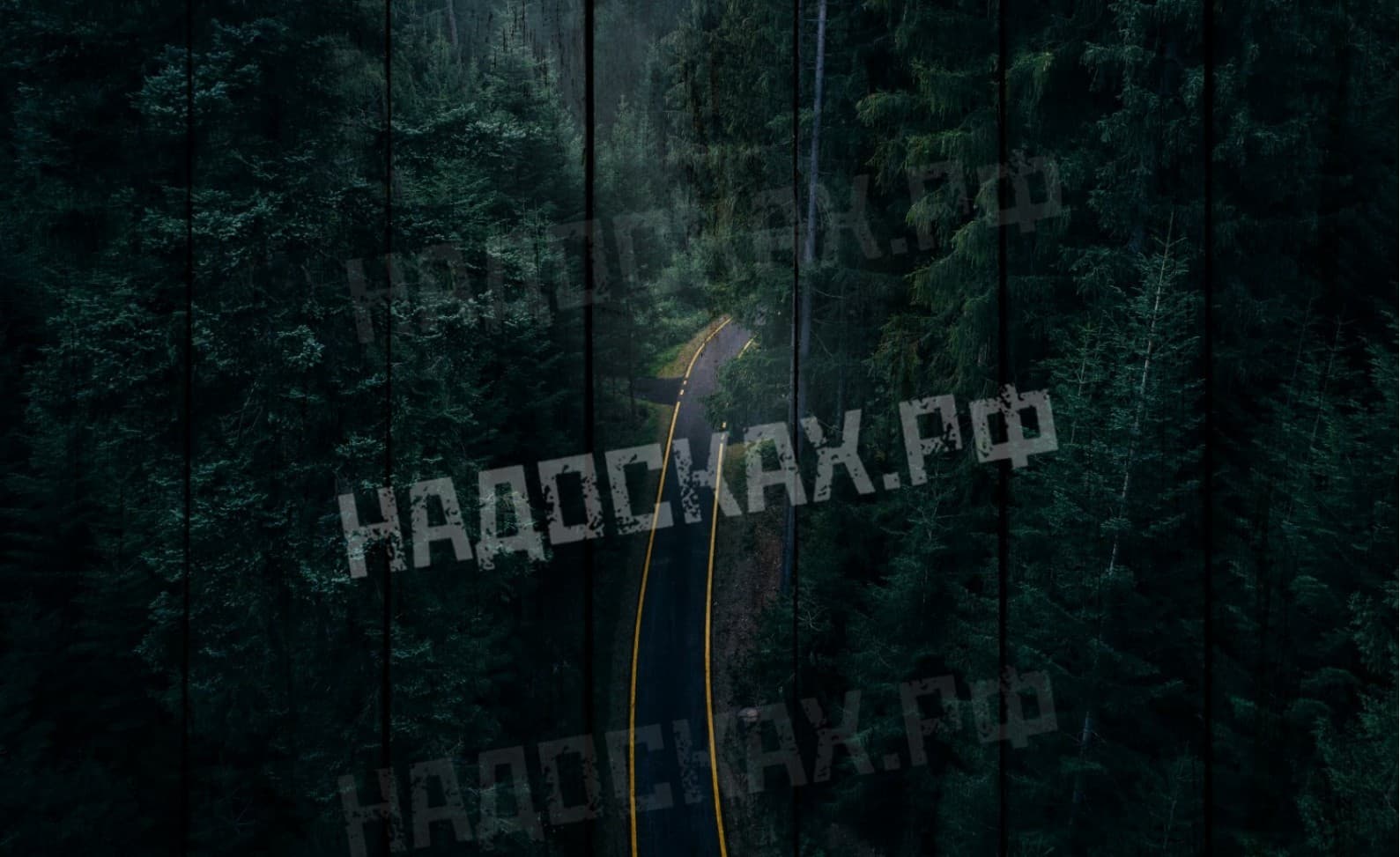 Картина на досках Travel 14