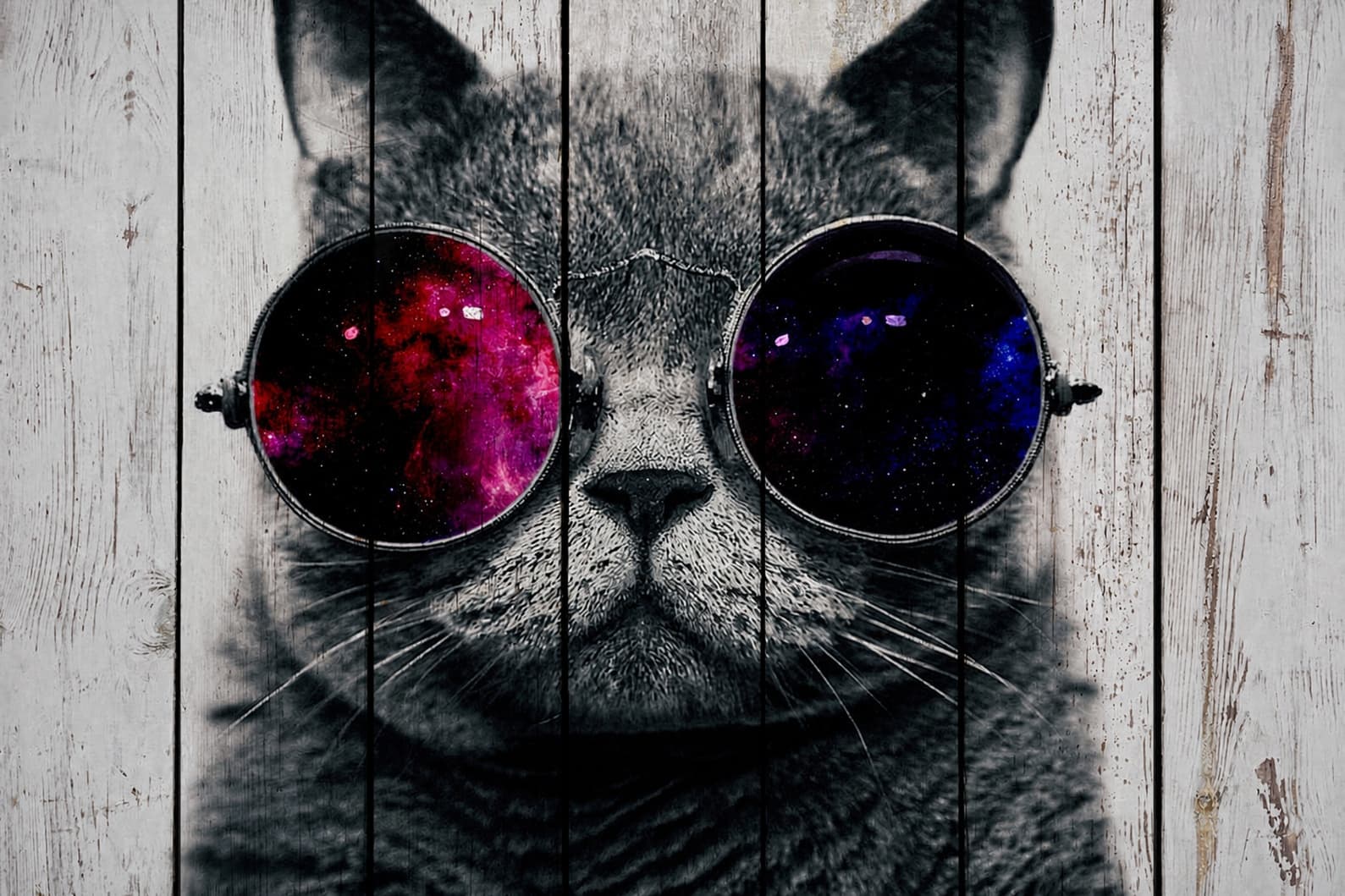 Кот в круглых очках с космосом