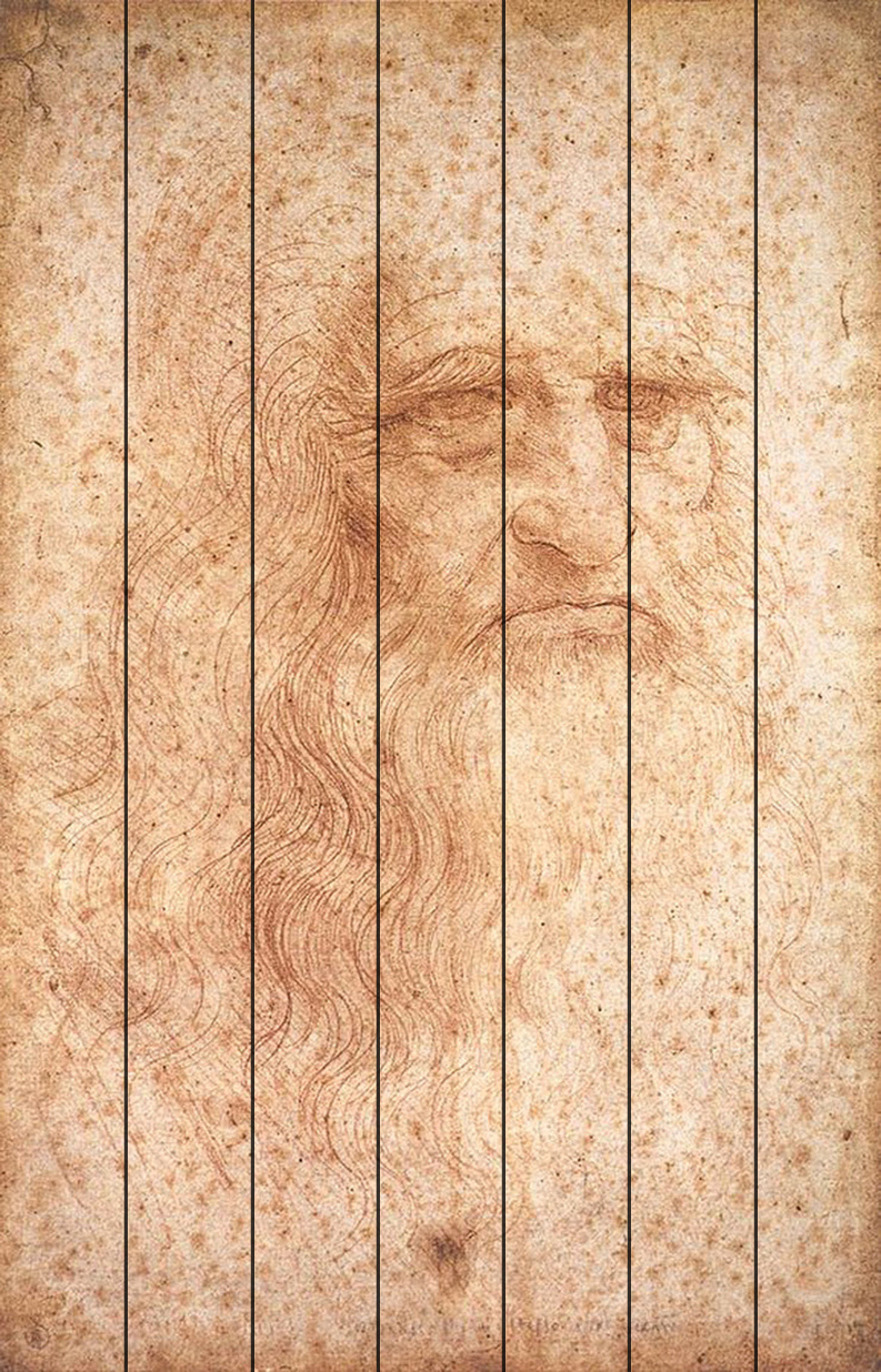 Туринский автопортрет Leonardo da Vinci — Леонардо да Винчи