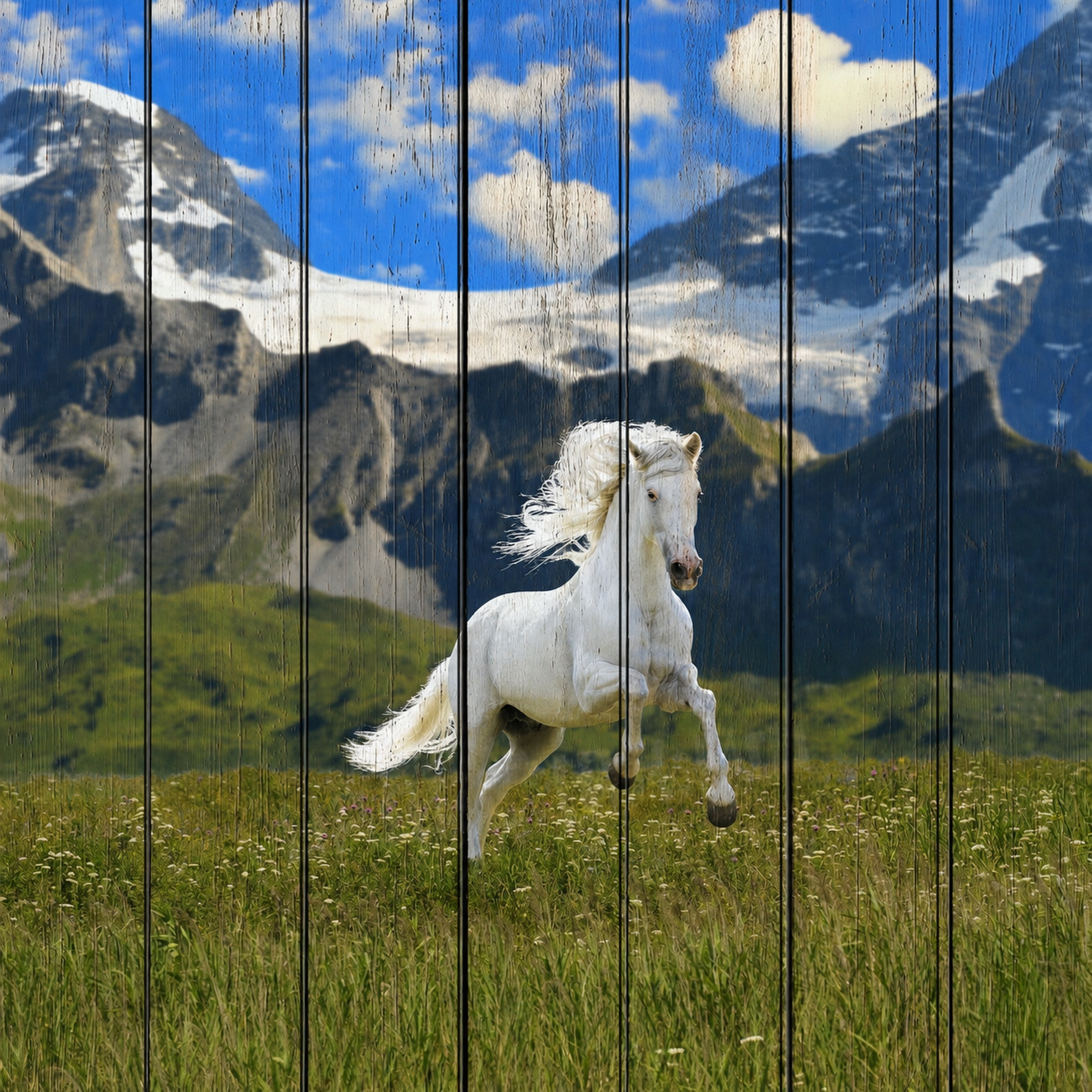 Белая лошадь в горах